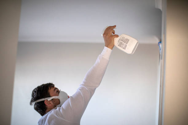 Best DIY Mold Remediation Support Services in Oswego, IL