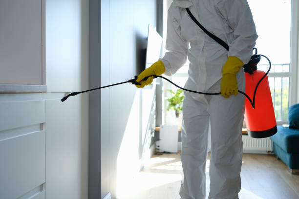 Best Mold Remediation for Schools in Oswego, IL