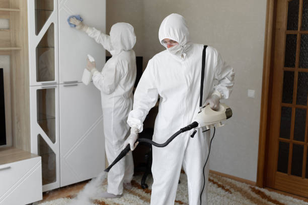 Best Bathroom Mold Remediation in Oswego, IL