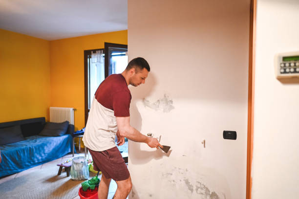 Trusted Oswego, IL Mold Remediation Experts